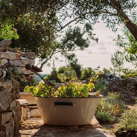 The Secret Garden * Vela Luka