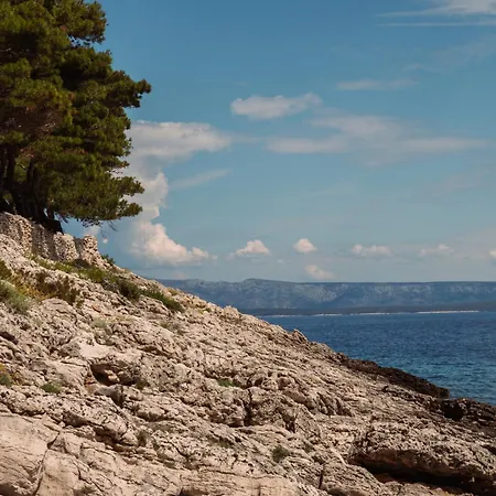 The Secret Garden Vila *