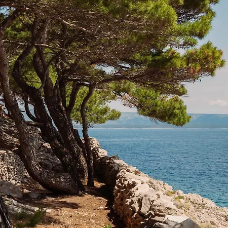 Vila The Secret Garden