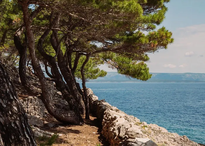 Villa The Secret Garden